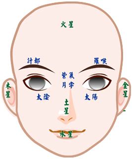 奶毛面相|【面相館】 基本介紹、流年法、五行面相、眼睛、嘴巴、眉毛、。